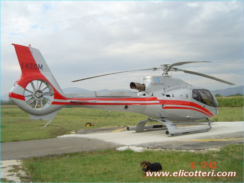 elifoto (34)